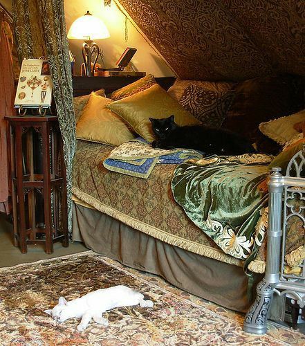 Cozy witchy bedroom with patterned textiles, warm lighting and a black cat