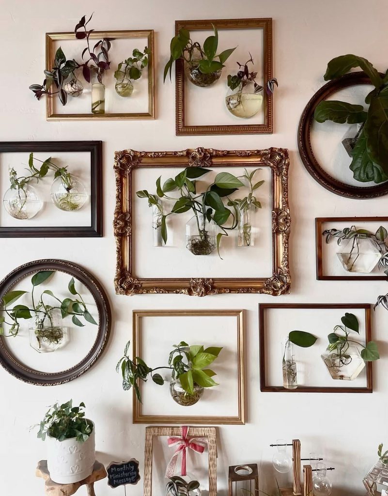 wall of frames with plants