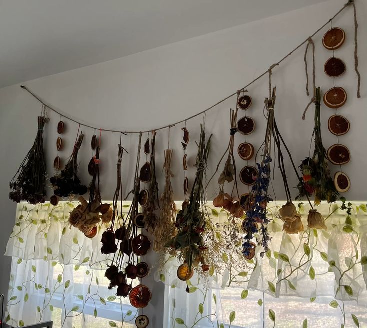 Dried flowers, herbs and orange slices hanging across a window